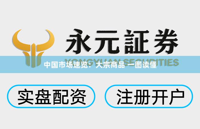 中国市场速览：大宗商品 一图读懂