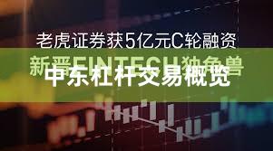 中东杠杆交易概览