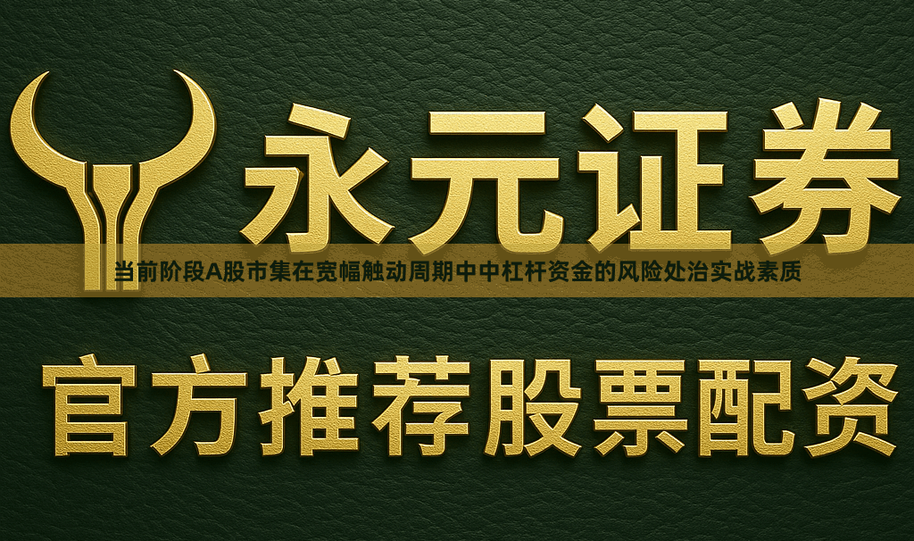 当前阶段A股市集在宽幅触动周期中中杠杆资金的风险处治实战素质