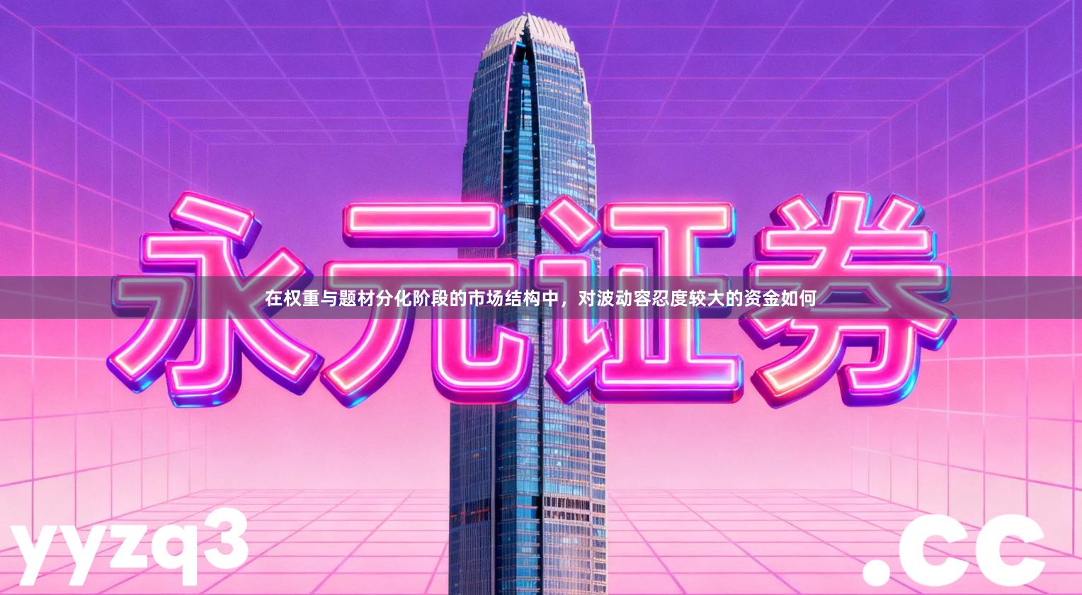 在权重与题材分化阶段的市场结构中，对波动容忍度较大的资金如何