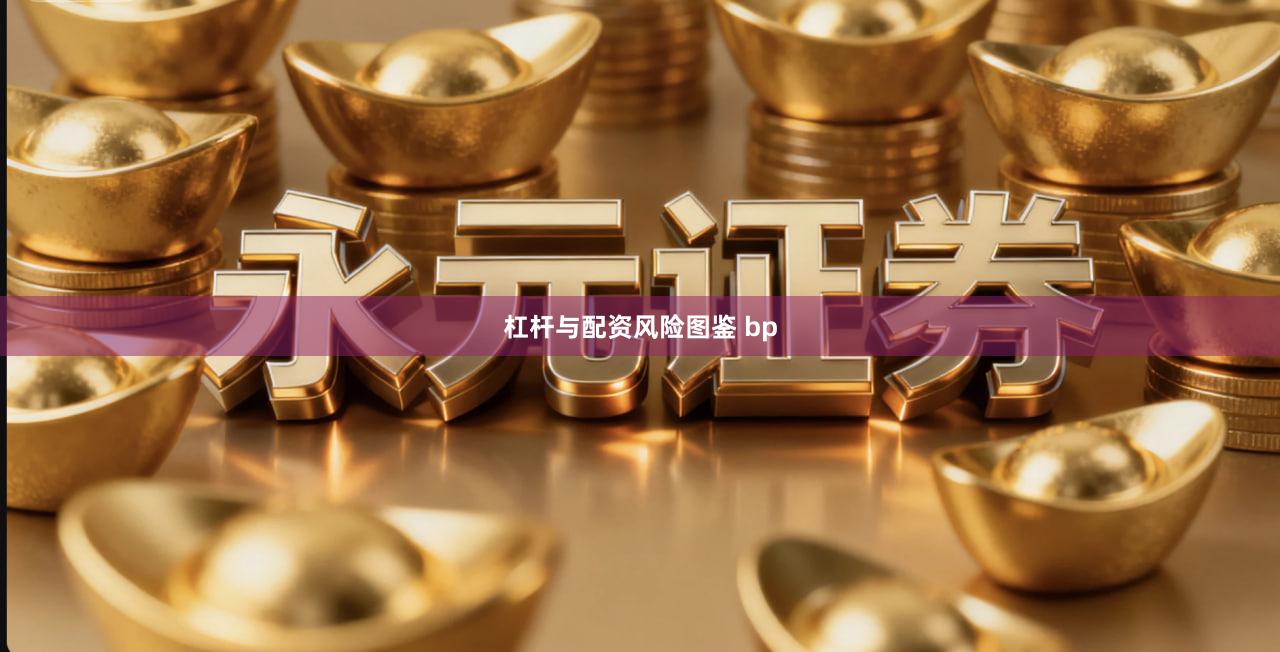 杠杆与配资风险图鉴 bp