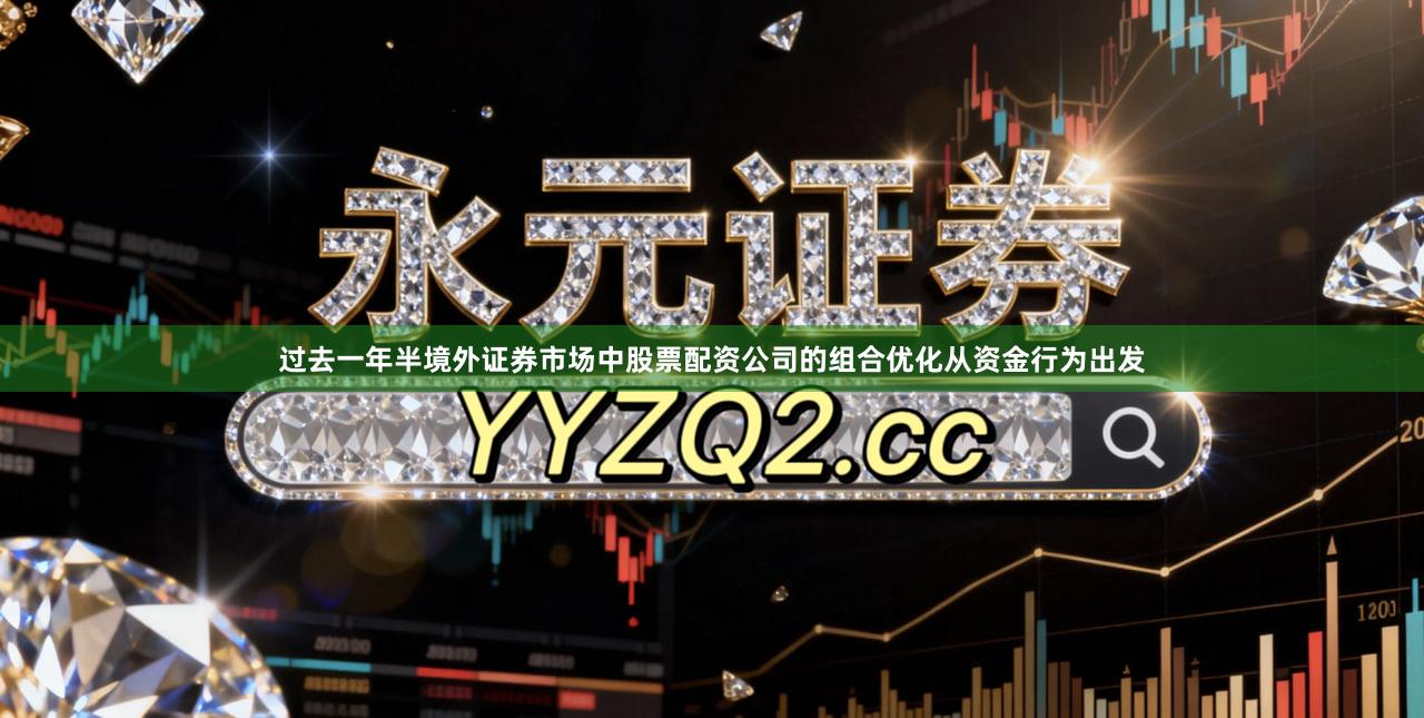 过去一年半境外证券市场中股票配资公司的组合优化从资金行为出发